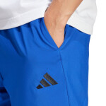 Šortky adidas Essentials Small Logo Chelsea M JF1116 2 XL