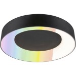 Paulmann 75416 stropné svetlo 20 W čierna (matná); 75416