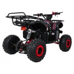Mamido Detská benzínová štvorkolka RamiGO WILDPEAK 110CC čierno-červená