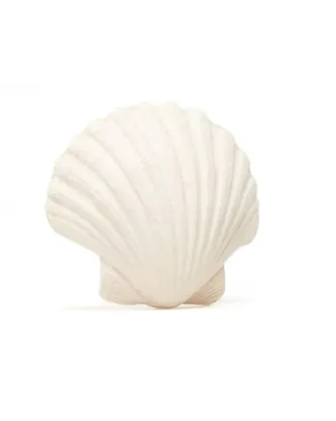 LANCO - Hryzátko mušlička / od 0 mesiacov (8424678904521)