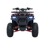 Mamido Detská benzínová štvorkolka RamiGO DISCOVERER 125CC čierno-červená
