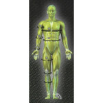 Dámske kompresné nohavice SELECT 6406 W L