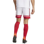 Šortky adidas Squadra 25 M JH3404 M
