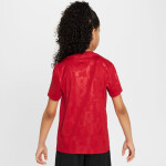 Tričko Nike Liverpool FC Academy Pro SS Top Jr FQ0013-688 XL (158-170)