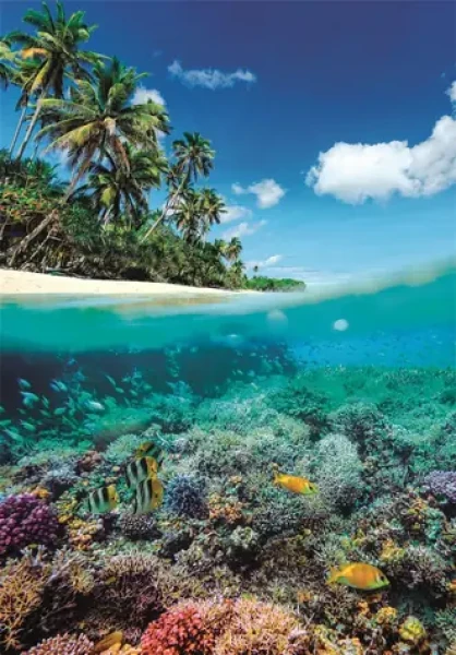 Clementoni 39931 Puzzle Letný raj 1000 dielikov