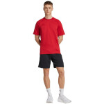 Pánske šortky adidas Tiro 25 Travel black JY5945 2 XL
