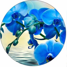 Jedlý papier – modrá orchidea, 19,5 cm - Pictu Hap