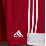 Pánske šortky 19 Adidas