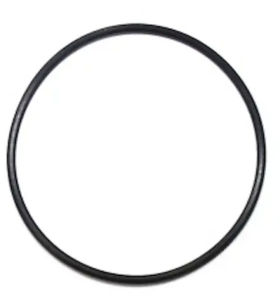 O-krúžok tesnenia ventilu filtrácie ProStar Profi 8, ProfiStar, Sol / Náhradný diel / Tesnenie (7282)