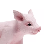 Safari Ltd. Safari Ltd. Sele