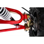 Mamido Detská benzínová štvorkolka RamiGO WILDPEAK 110CC čierno-červená