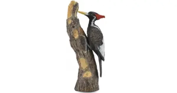 Collecta Ďateľ kniežací