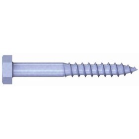 Reisser 28418 skrutka do dreva 10 mm 100 mm vonkajší šesťhran 50 ks; 28418