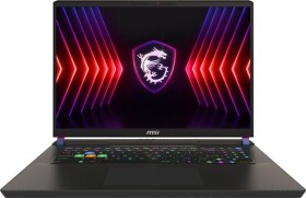 MSI Vector 17 HX A14VIG-1006PL i9-14900HX / 32 GB / 1 TB / W11 / RTX 4090 / 240 Hz