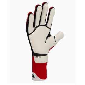 Brankárske rukavice adidas Predator Pro M IW6276 9