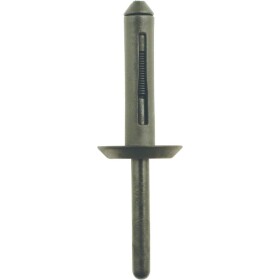 Plastové nity pre Ford, balenie 50 ks KS Tools 420.5275; 420.5275
