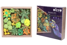 OKTO Energy Art modelovací set sukulenty v drevenom ráme 21x21 cm, OKTO, W031040