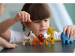 PlanToys PlanToys Set - Divoké zvieratá