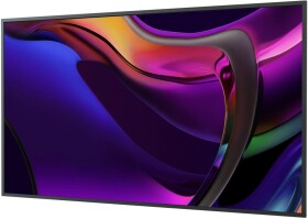 Sony Standard Display 65"