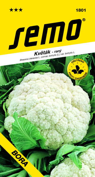 SEMO Karfiol BORA
