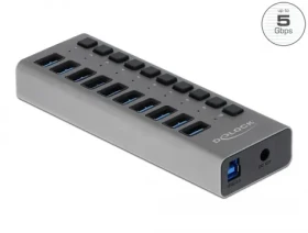 Delock Externý SuperSpeed USB Hub šedá / 10 portov (63670)
