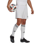 Pánske kraťasy Squadra 21 Short GN5774 Adidas