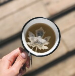TEA HERITAGE Zelený čaj Jasmine Maple Leaf - 5 ks