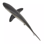 Safari Ltd. Safari Ltd. Figúrka - Žralok hodvábny