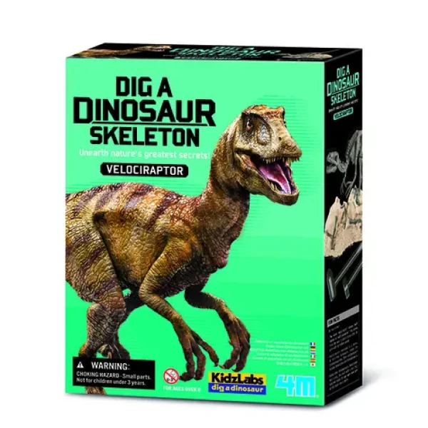 4M Dinosauria kostra - velociraptor