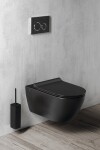 GSI - PURA závesná WC misa, Swirlflush, 36x55cm, čierna dual-mat 881526