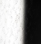 FORTE - Sprchové dvere PORTA NEW - FARBA rámu - Biela, Rozmer A - 120 - 130 cm OLNNC1FS130031