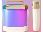 Mamido Mikrofóny s bezdrôtovým reproduktorom + bluetooth + 2 mikrofóny IN0178