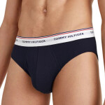 Spodné prádlo Tommy Hilfiger 3P Brief M 1U87903766 S