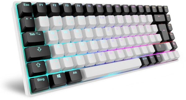 Sharkoon Sharkoon SKILLER SGK50 S3 (wei. DE-Layout. Gateron Brown)