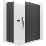 CERANO - Sprchová zástena Walk-in Crystal TL/P - 8 mm - bezvzperový systém - zlatá, grafitové sklo - 100x60x200 CER-8050BD5617