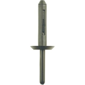 Plastové nity pre Ford, balenie 10 ks KS Tools 420.1276; 420.1276