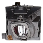 ViewSonic RLC-109 / náhradná lampa pre projektory PA503W/PG603W/PS600W/PS501W (RLC-109)