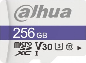 Dahua Technology TF-C100 MicroSDXC 256 GB Class 10 U3 V30 (TF-C100/256GB)