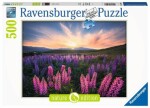 Ravensburger Vlčie bôby