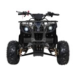 Mamido Detská benzínová štvorkolka RamiGO WILDPEAK 110CC čierna