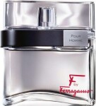 Salvatore Ferragamo F By Ferragamo Pour Homme - EDT 100 ml