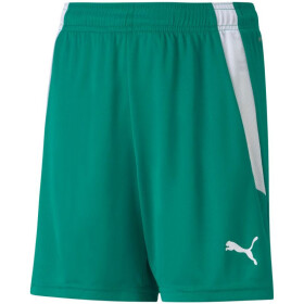 Šortky Puma teamLIGA Jr 704931 05 152CM