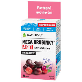 NATUREVIA Mega brusnice akut so zlatobyľou inov.2026 15 kapsúl