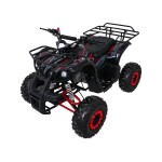 Mamido Detská benzínová štvorkolka RamiGO WILDPEAK 110CC čierno-červená