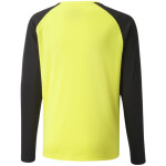 Brankárska mikina Puma teamPacer GK LS Jersey Jr 704939 42