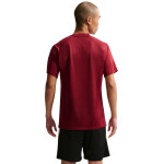 Pánske tričko Nike Dri-Fit Park VIII Burgundy HV8173 677 Pánske XL
