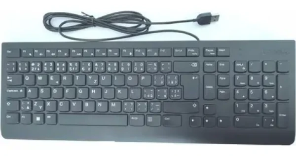 Lenovo Essential Wired Keyboard čierna / Klávesnica / drôtová / USB-A / CZ/SK (4Y41C68691)