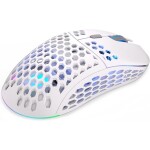 Endorfy LIX Plus Wireless biela / optická / bezdrôtová / herná / 19000 dpi / PAW3370 / 6 tlačidiel / RGB / USB-C (EY6A009)