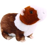 Morské prasiatko 22 cm