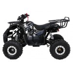 Mamido Detská benzínová štvorkolka RamiGO WILDPEAK 110CC čierna